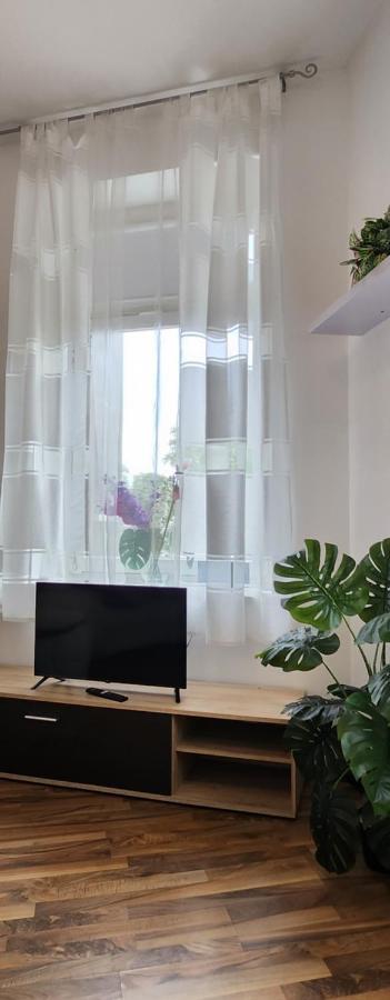 Elena Flat Orchidee Duisburg Zentrum Екстериор снимка